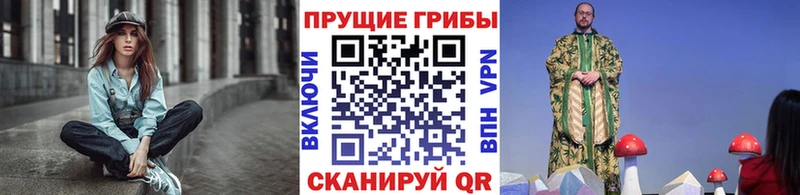 где можно купить   omg рабочий сайт  Галлюциногенные грибы Psilocybine cubensis  Хилок 